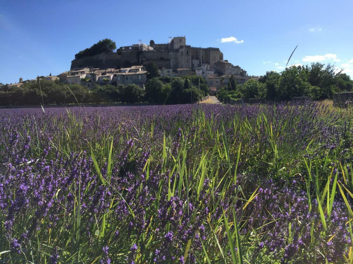 La Vie De Chateau Grignan Exteriör bild